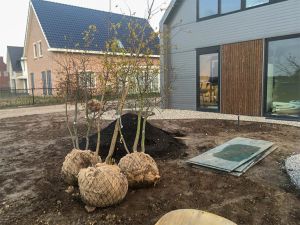 Nieuwe-Warande04
